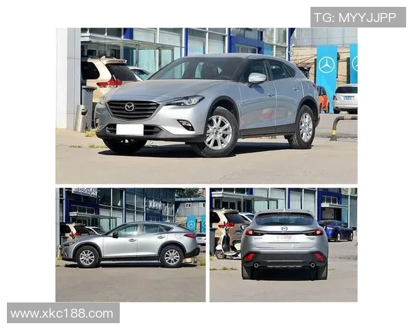 布林狮子与南墨尔本激战正酣谁能在这场对决中笑到最后 布林狮子与南墨尔本激战正酣谁能在这场对决中笑到最后