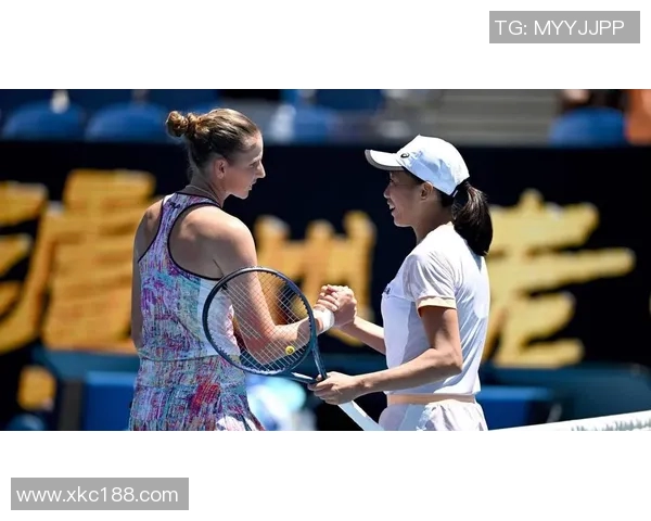 李娜与毛瑞斯莫巅峰对决回顾：网球场上的传奇之战与激情碰撞