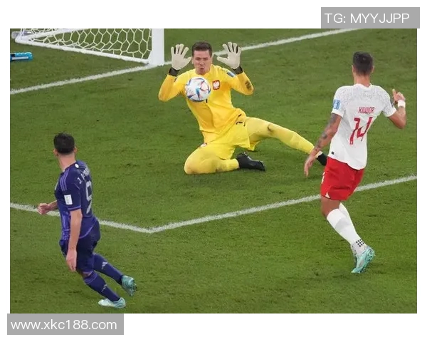 什琴斯尼携手知名企业，共同开创智慧城市新纪元