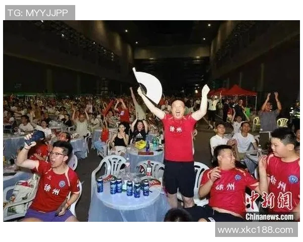 无解说足球比赛直播观看渠道推荐与分享