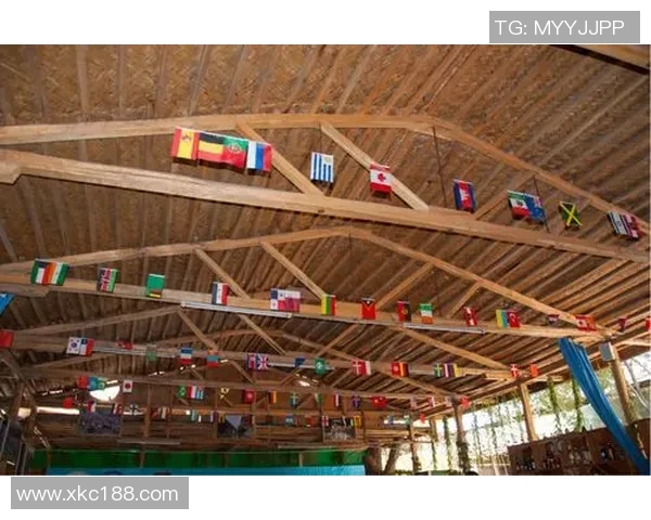 九宝图的神秘传说与文化价值探寻之旅